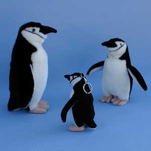 119 117 118  Chinstrap Penguin / Zgelpinguin / Hakremspingvin, 26 cm, 14 cm, 20 cm