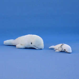 414 413  Beluga Whale / Weiwal / Vitval, 29 cm, 14 cm