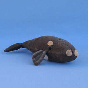 415  Right Whale / Glattwal / Rtval, 30 cm